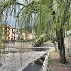 Ponte Vecchio di Dolceacqua