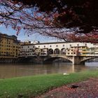 ponte vecchio firenze