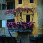 Ponte Vecchio, para enamorarse