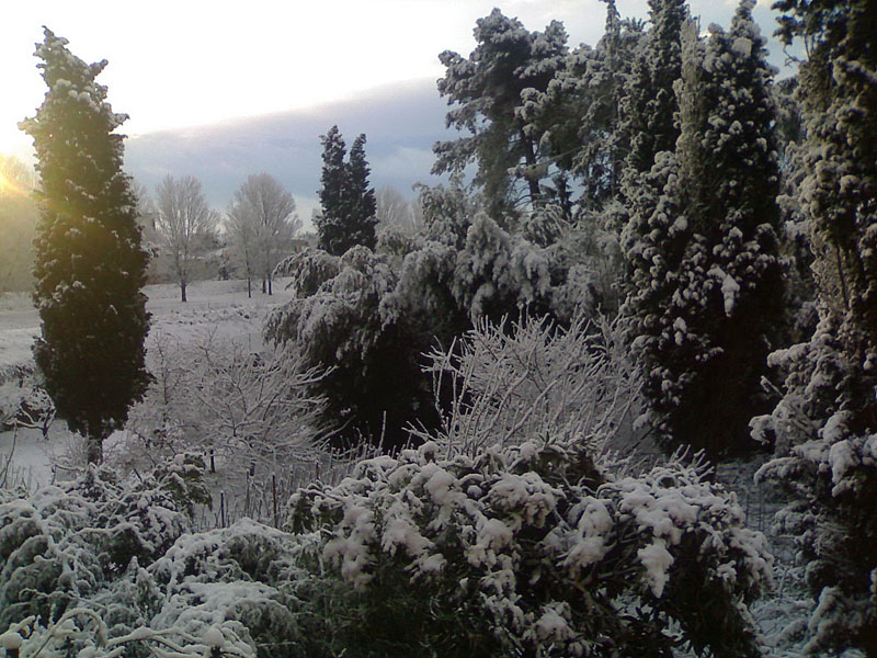 Pontedera con la neve