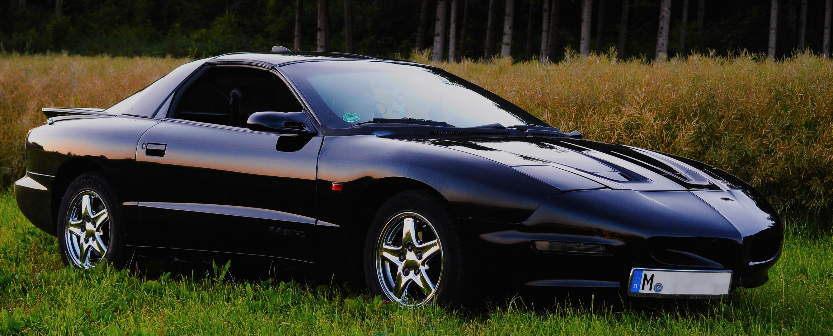 Pontiac Firebird Foto & Bild autos & zweiräder, oldtimer youngtimer