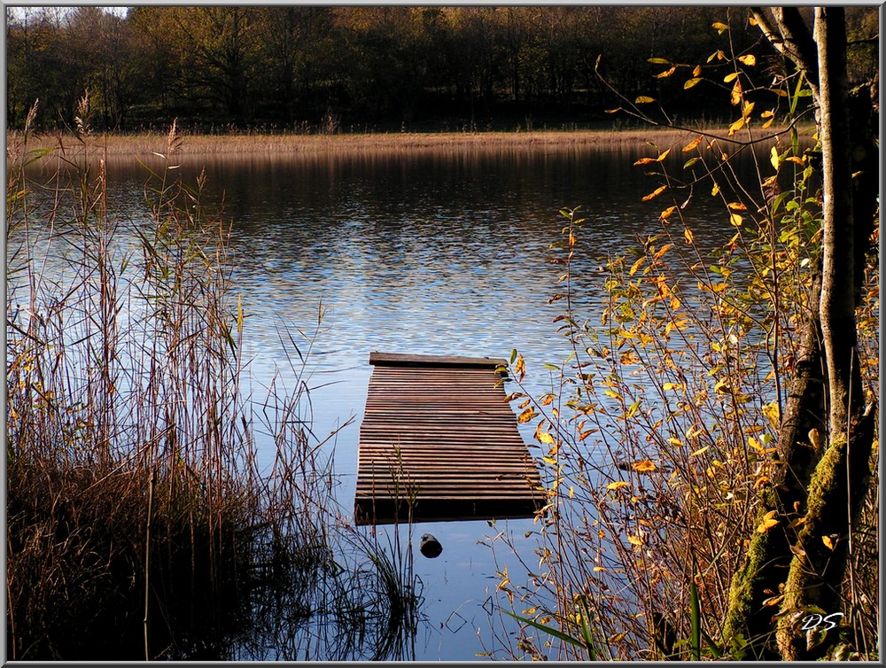 ponton du lac d'Etival