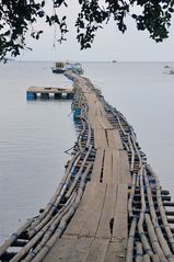 Pontoon pier the longboats to Menjangan island