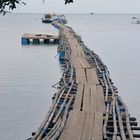 Pontoon pier the longboats to Menjangan island