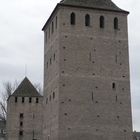 Ponts Couverts