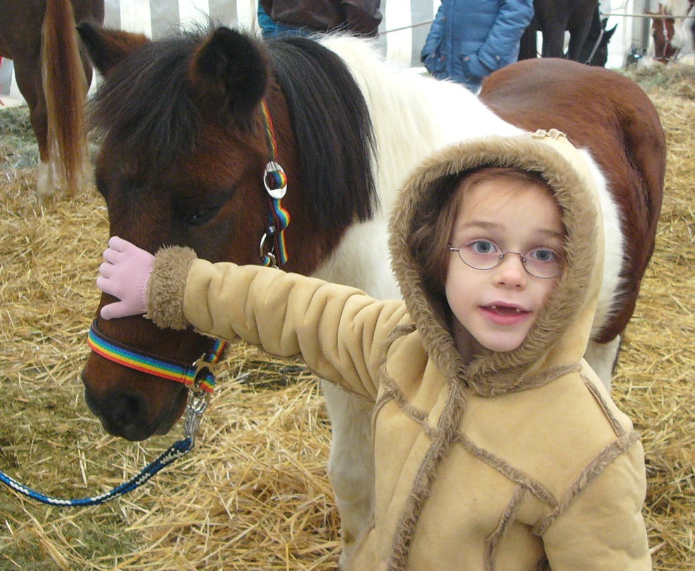 Pony auf dem Hochheimer Markt