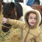 Pony auf dem Hochheimer Markt