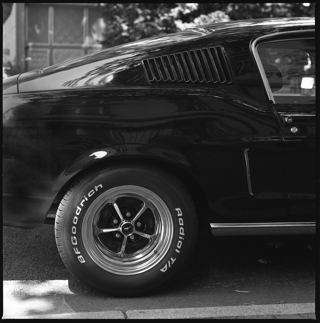 Pony Car III