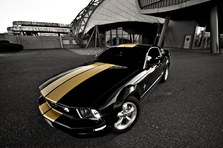 Pony Car [Reload]