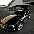 Pony Car [Reload]