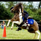 Pony games, un sport plein d'adrénaline