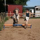 Pony hüpft :)