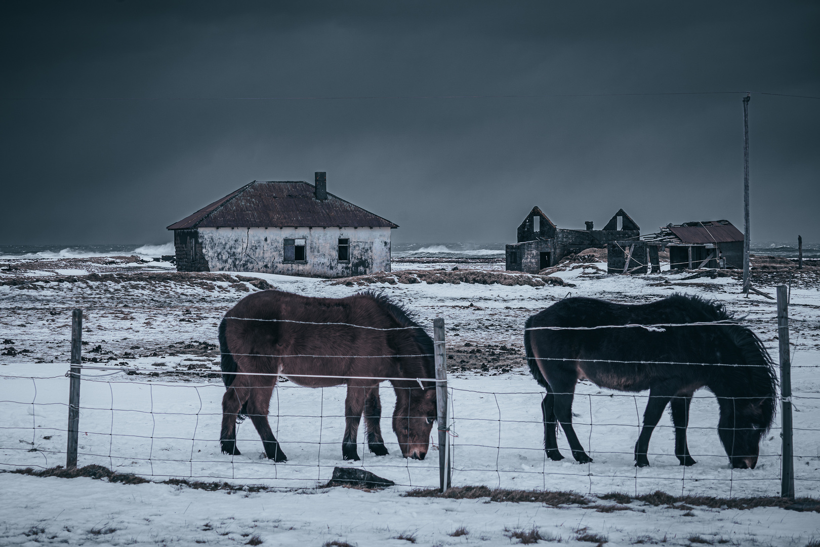 Pony Lost Place 