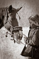 Pony & Mädchen