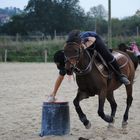 pony mounted games 4