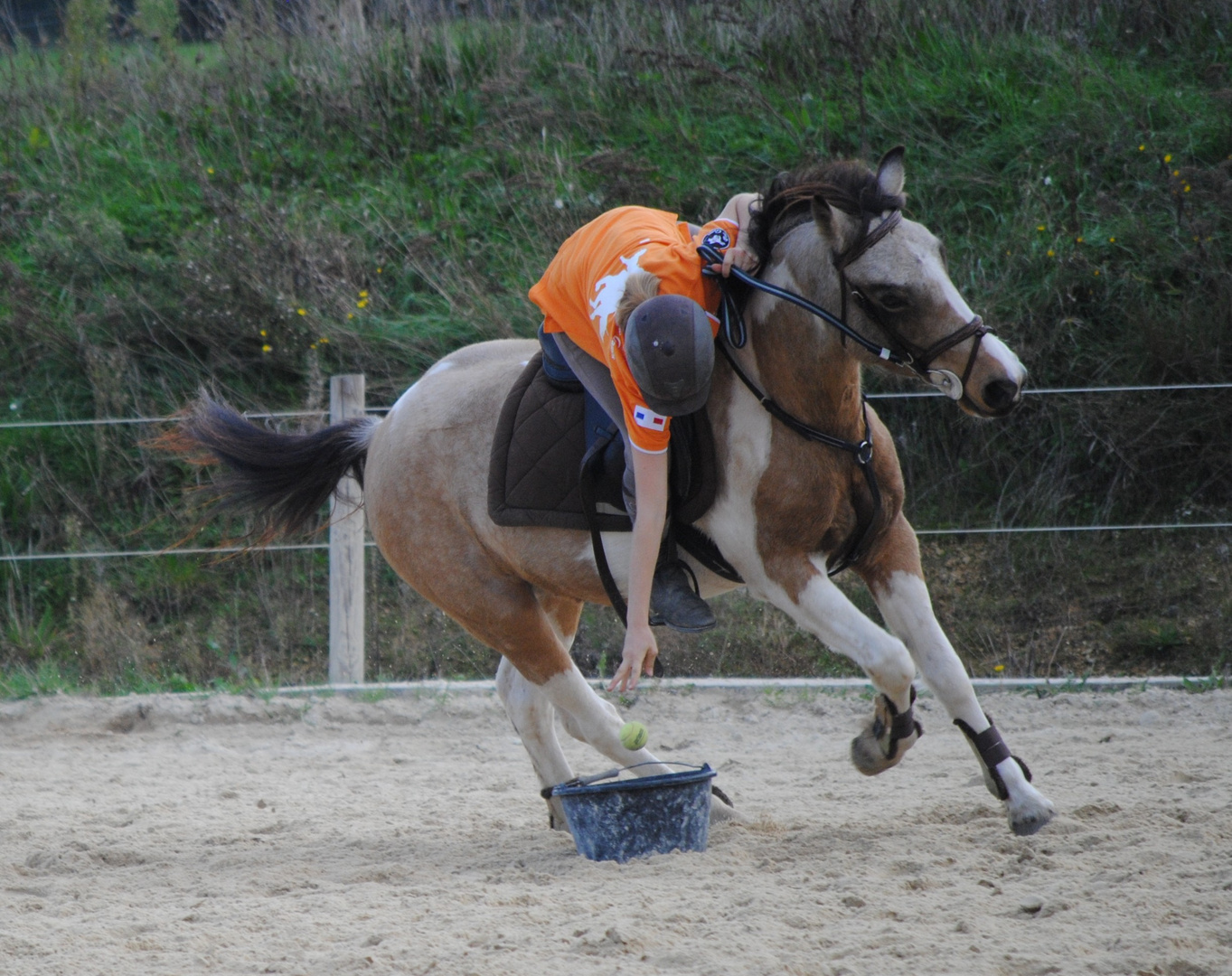 pony mounted games