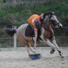 pony mounted games