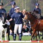 Pony Team Sturmvogel Berne