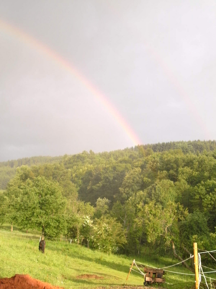 Pony unterm Regenbogen