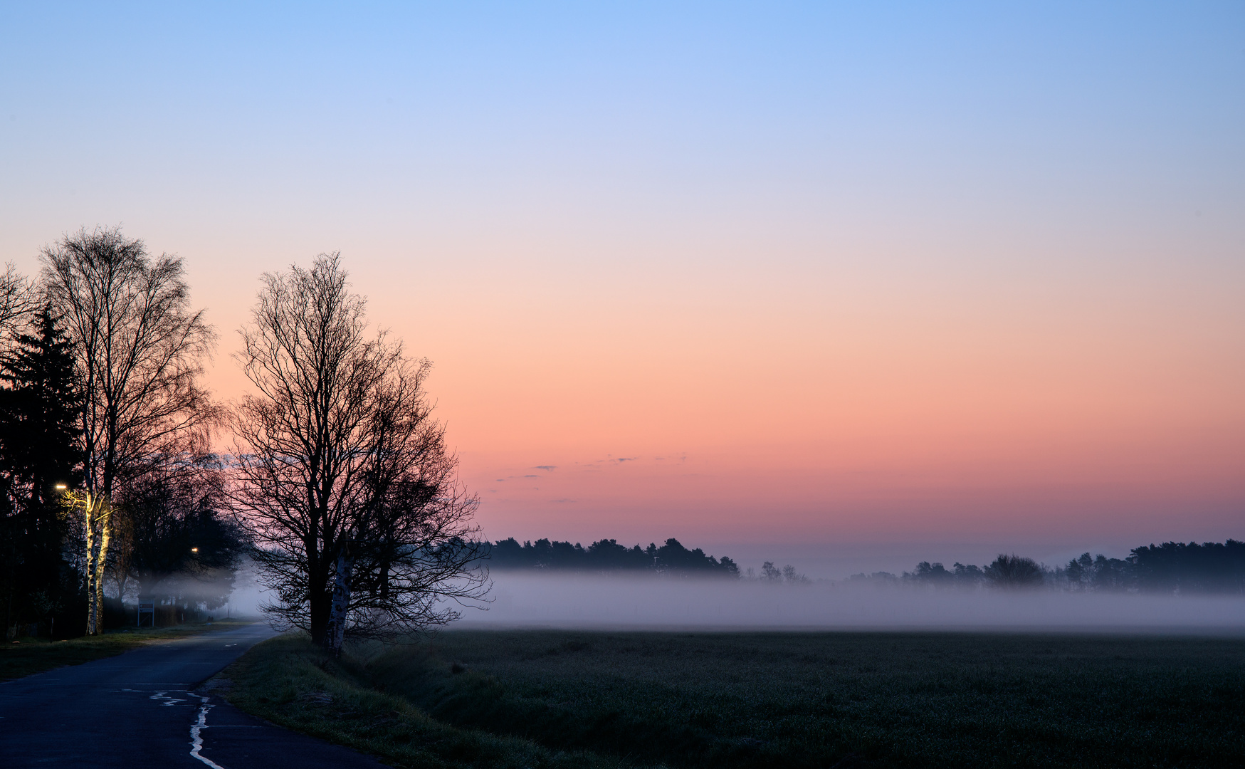 Ponyhof  im Nebel 