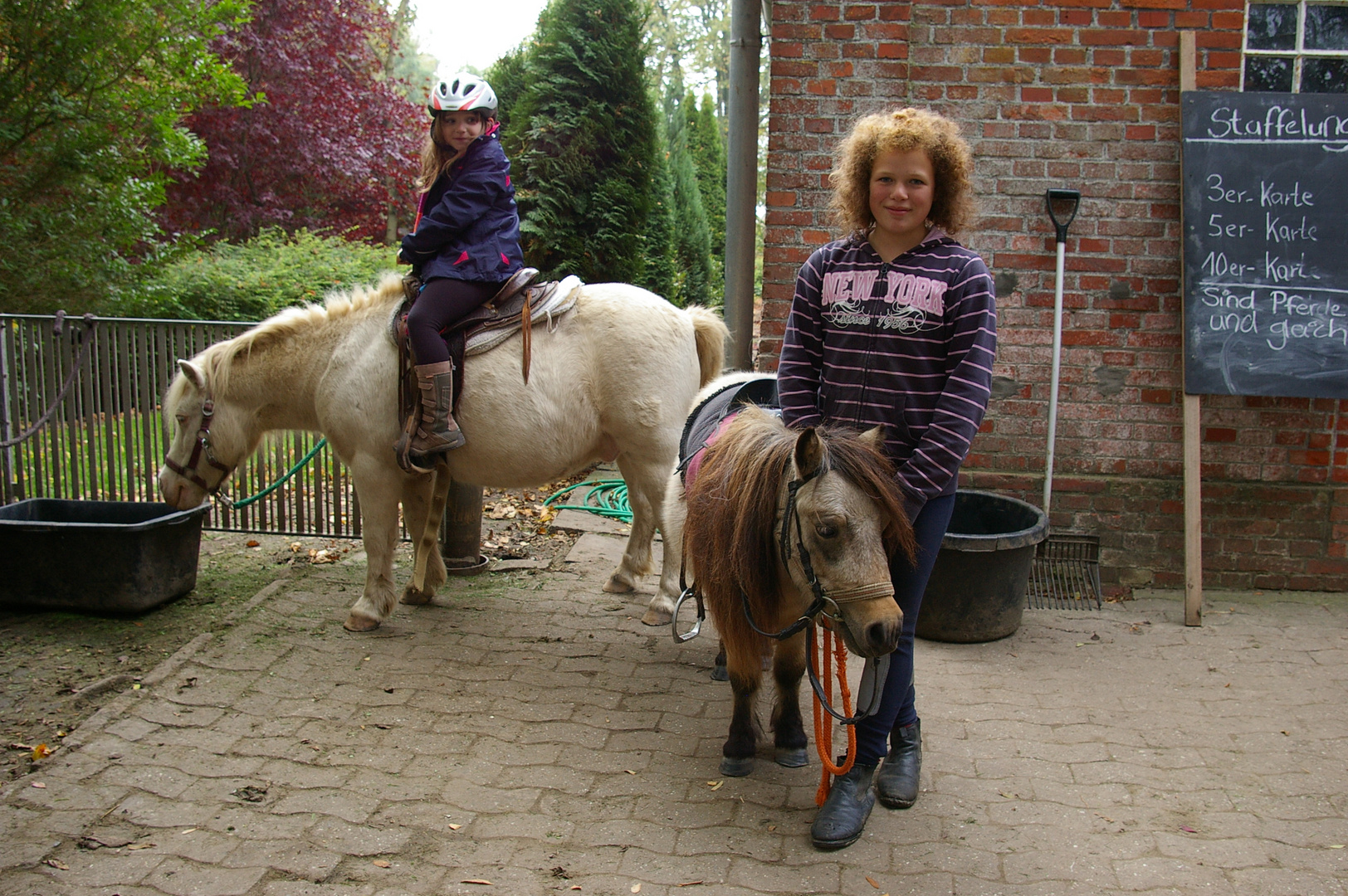 Ponyhof in Westermarsch in der Nähe von Norddeich