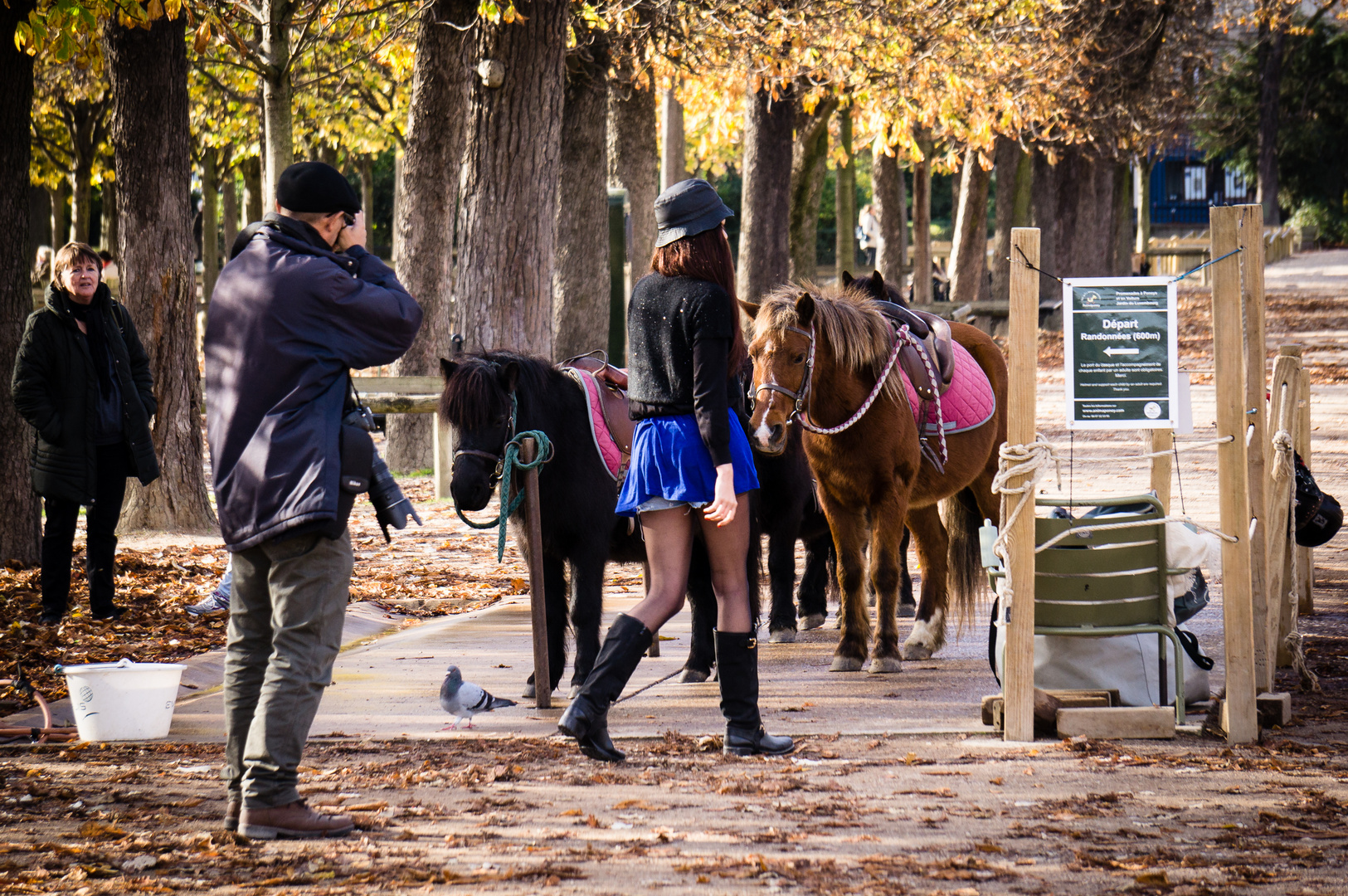 Ponys in Paris