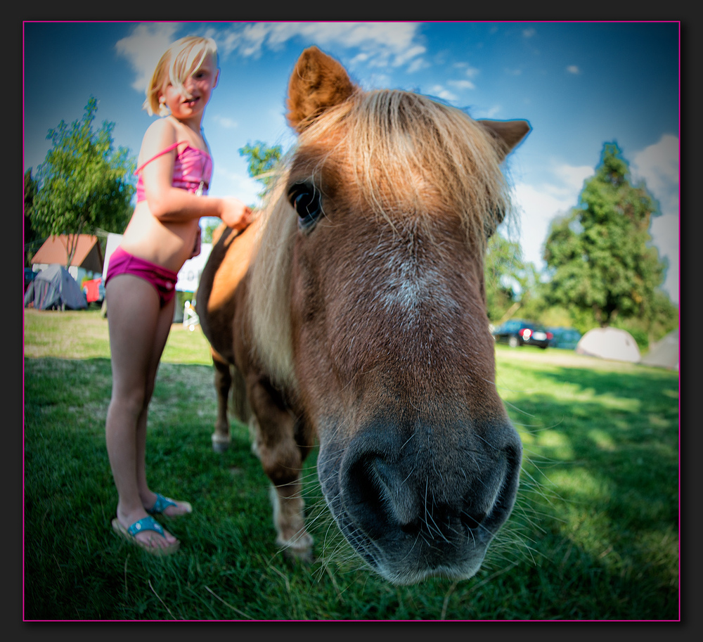 Ponyschnäuzchen mit Wirbelwind