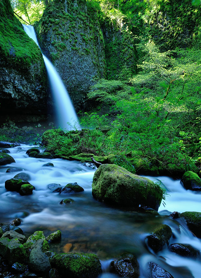 Ponytail Falls III