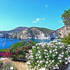 Ponza: Frontone ed il giardino dell'Eden