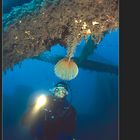 Ponza: sul relitto di Punta Papa