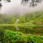 Poço Ribeira do Ferreiro, Flores