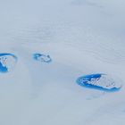 Pool für Eisbären