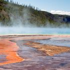 Pool im Yellowstone2