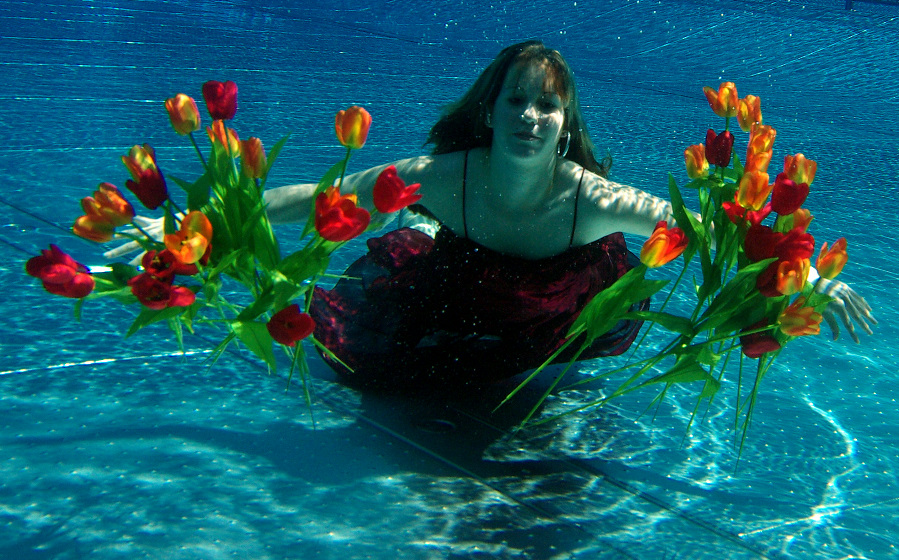 pool of tulips