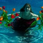 pool of tulips