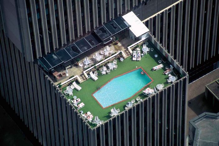 pool on the top