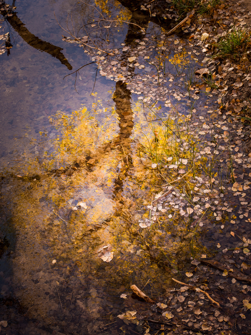 Pool-Reflections