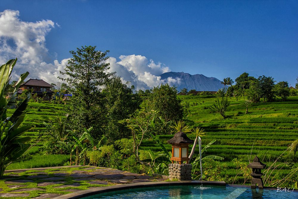 Poolblick auf Bali