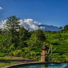 Poolblick auf Bali