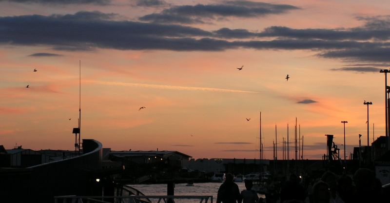 poole harbour