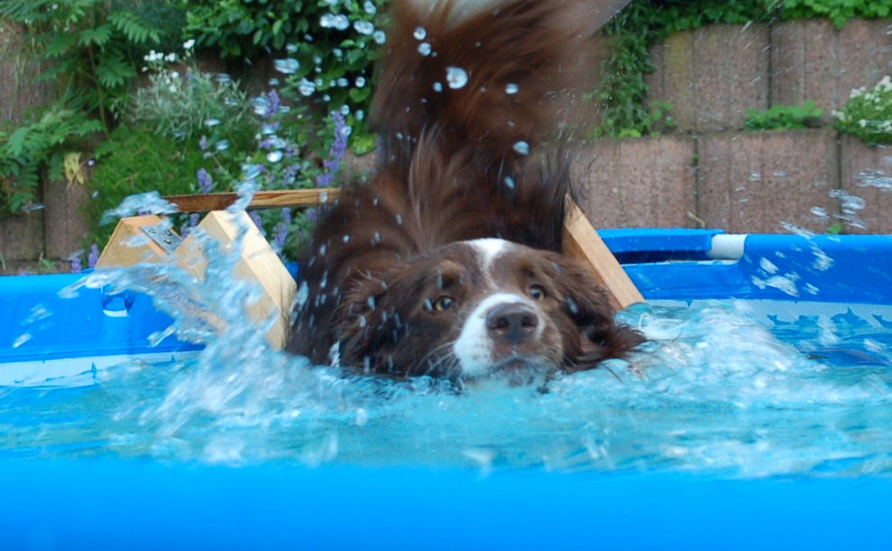 Poolparty :)