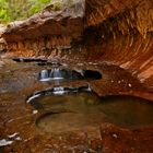 Pools in der "Subway", Zion NP