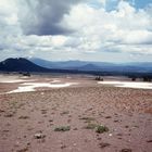 Poomice Desert Oregon