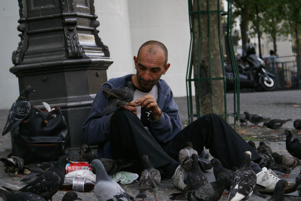 poor pigeons in Paris