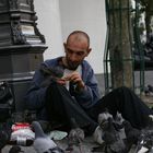 poor pigeons in Paris