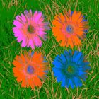 pop art flowers