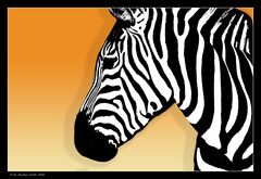 Pop-aRT zEBRA