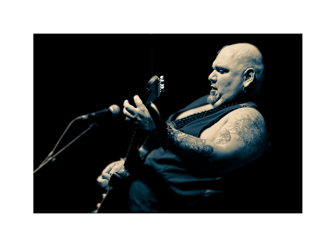 Popa Chubby 1