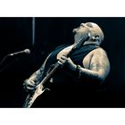 Popa Chubby 3