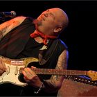 POPA CHUBBY (USA)